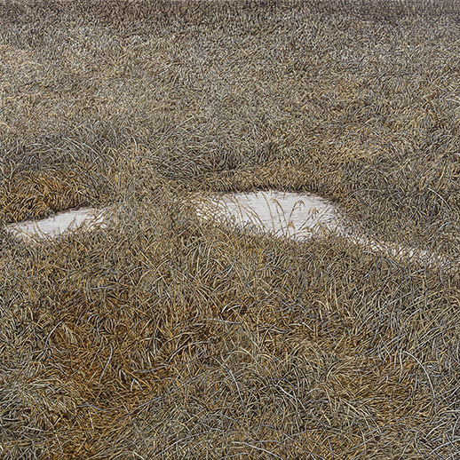 성필하: 시간이 팽창할 때