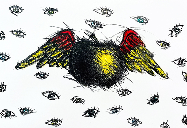 Eyes